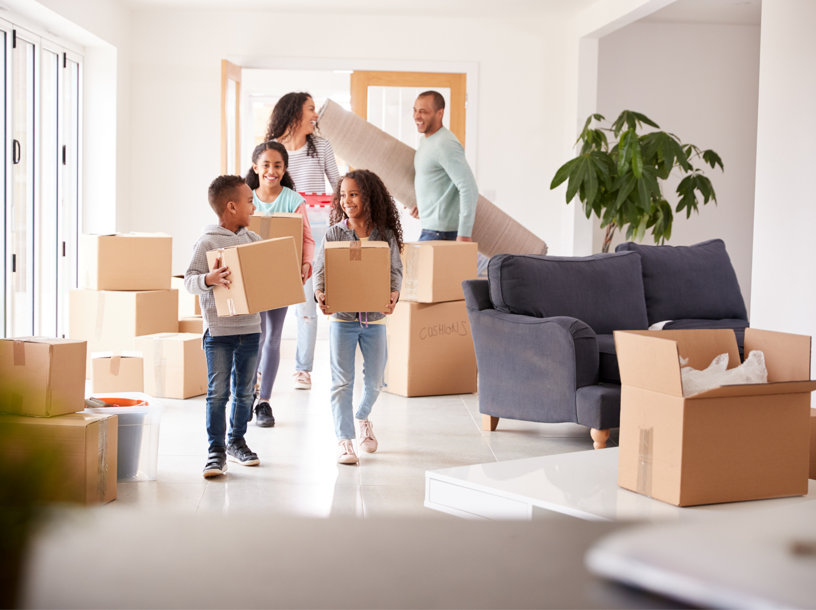 First Home Buyer